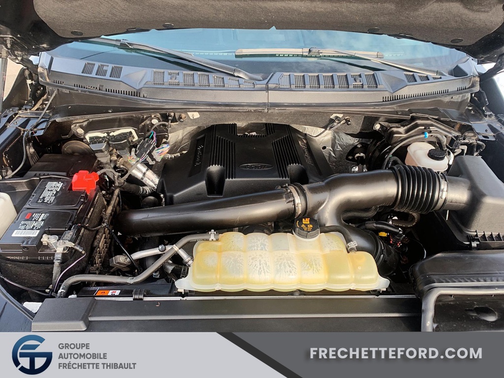 Ford F-150 2019 Montmagny - photo #6