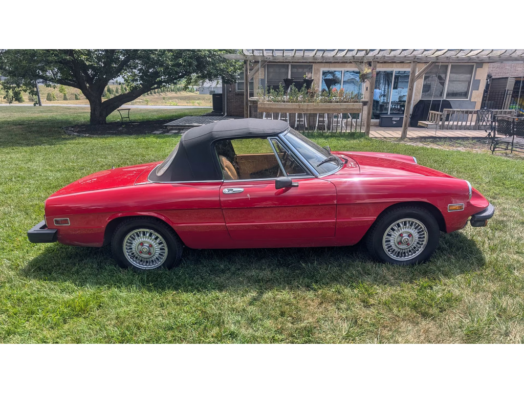 /1979 Alfa-Romeo Spider