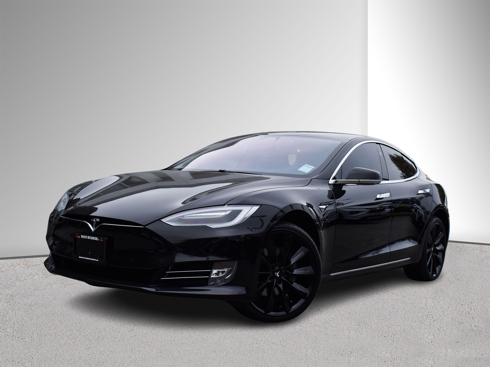 2019 Tesla Model S 100 D - PST Exempt!