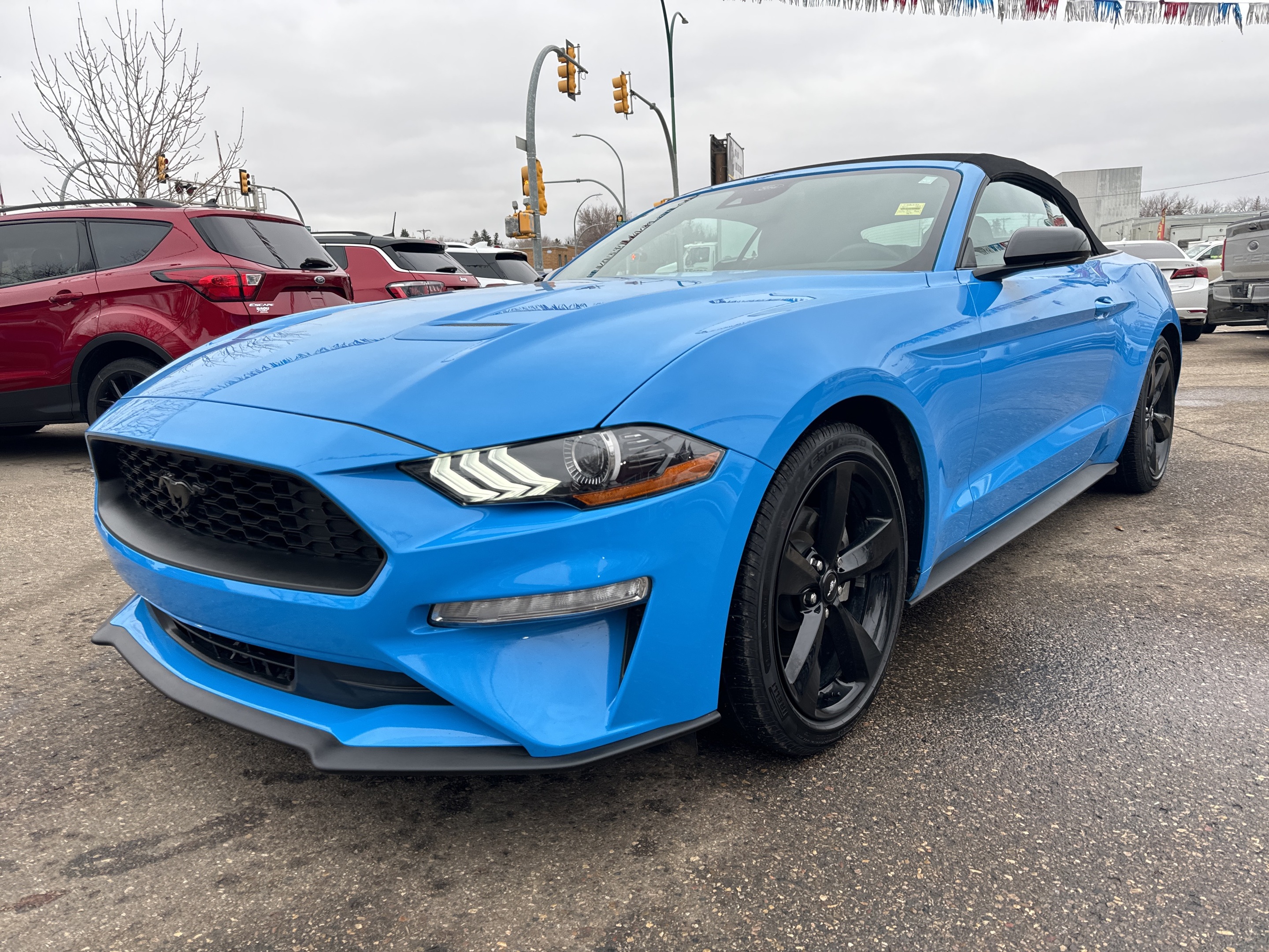2022 Ford Mustang EcoBoost Premium-Blk Accent Pkg--16km
