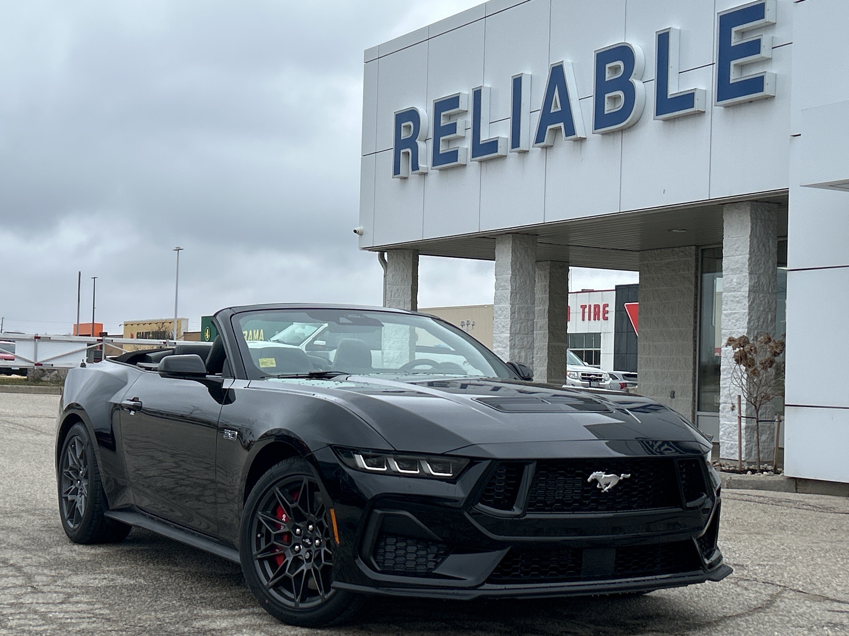 2024 Ford Mustang GT Premium Convertible  - Leather Seats