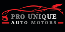 Pro Unique Auto Motors
