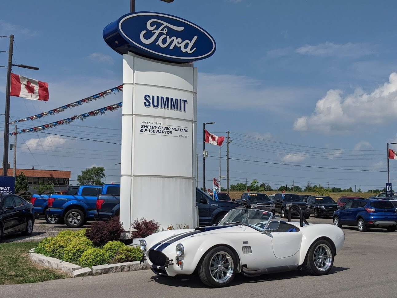 1996 Ford Shelby Cobra | Factory Five Racing Mk1 Roadster