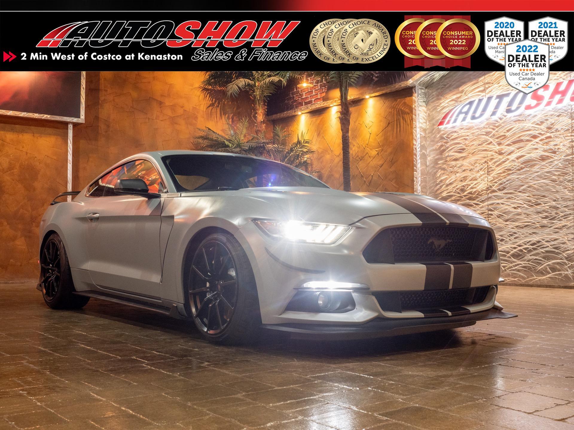 2015 Ford Mustang Shelby Clone - Perf Pkg, Brembos, Nav, Big Mods!