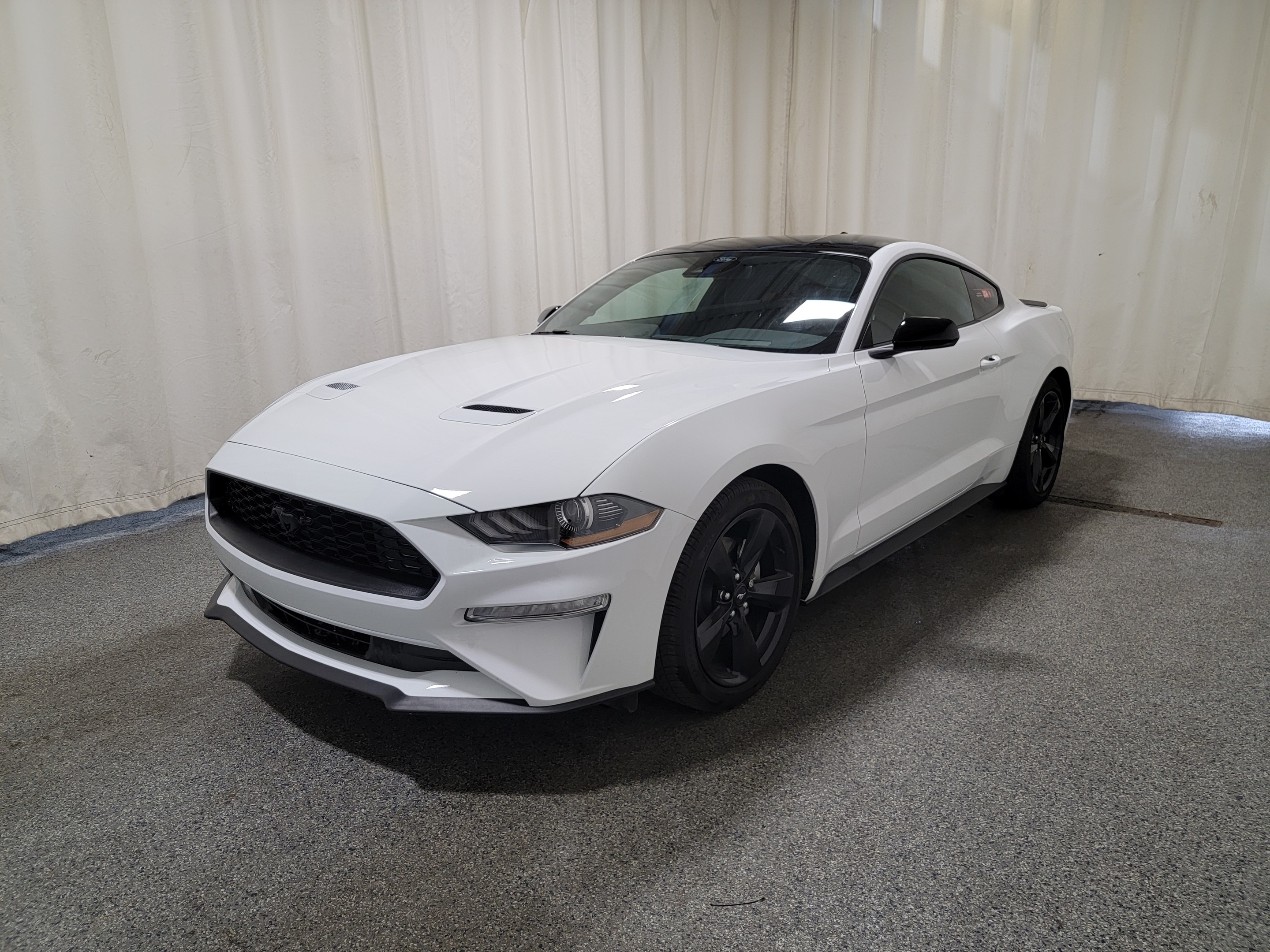 2023 Ford Mustang ECOBOOST W/NITE PONY PACKAGE 