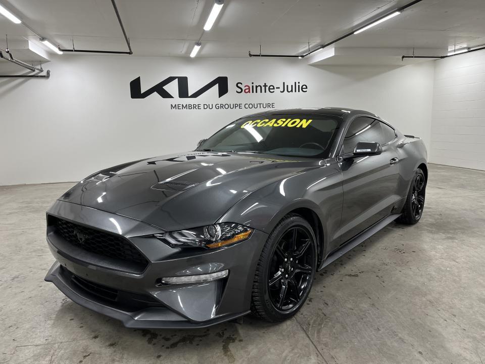 2020 Ford Mustang EcoBoost | CAMERA | MAGS | CUSTOM EXHAUST