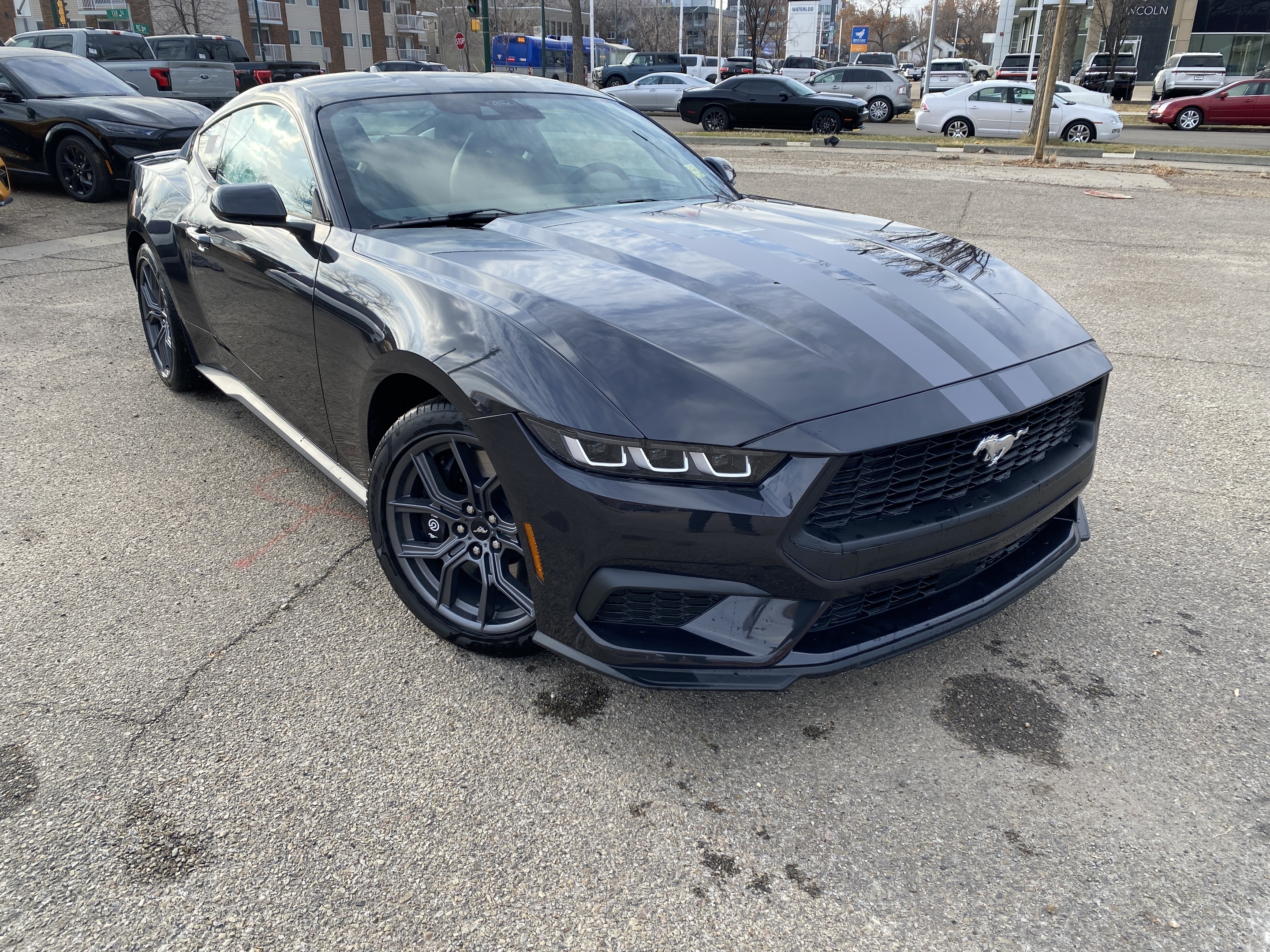 2024 Ford Mustang EcoBoost | Premium | Fastback