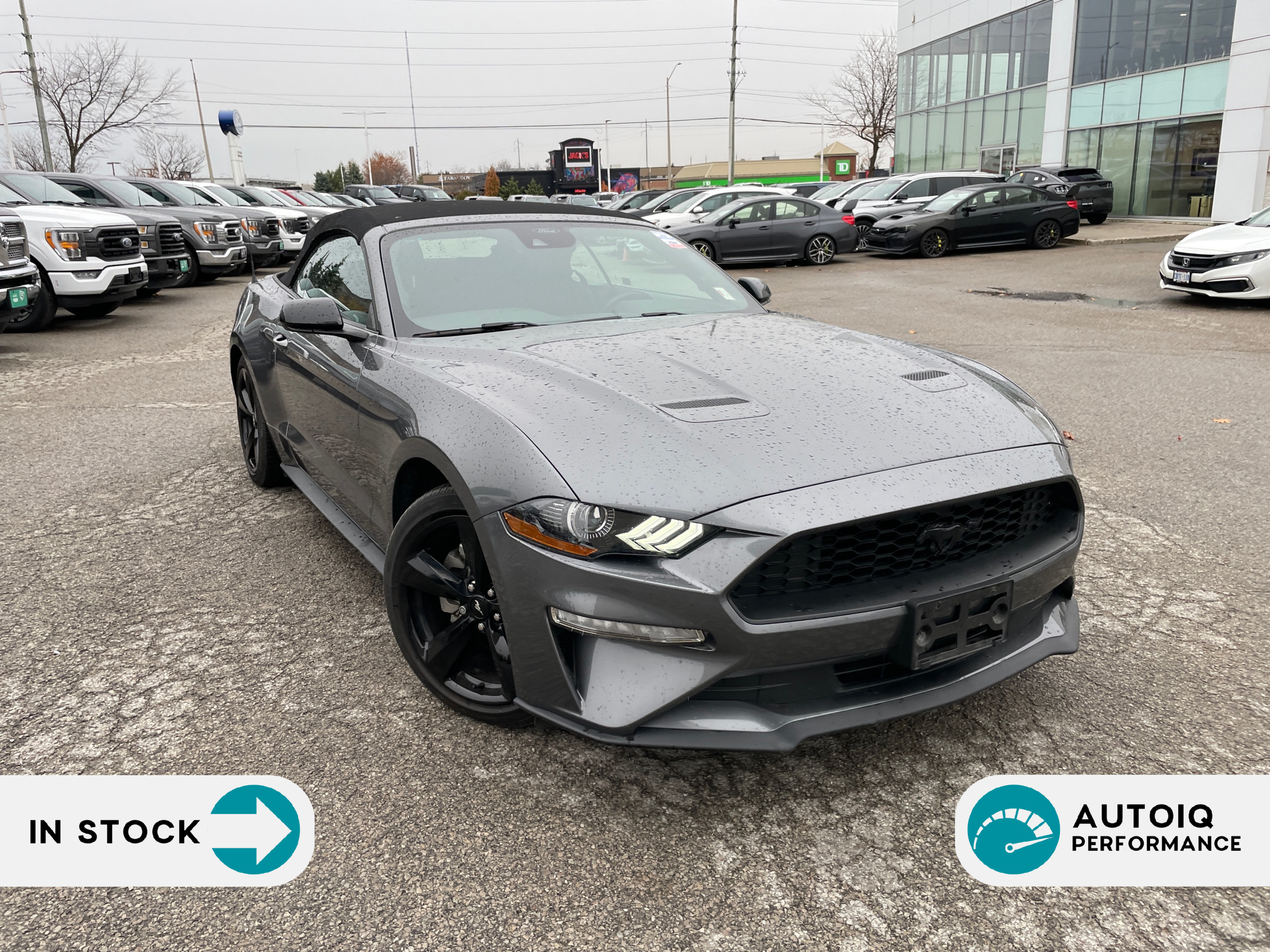 2021 Ford Mustang EcoBoost ECOBOOST | AUTOMATIC | ADAPTIVE CRUISE CT