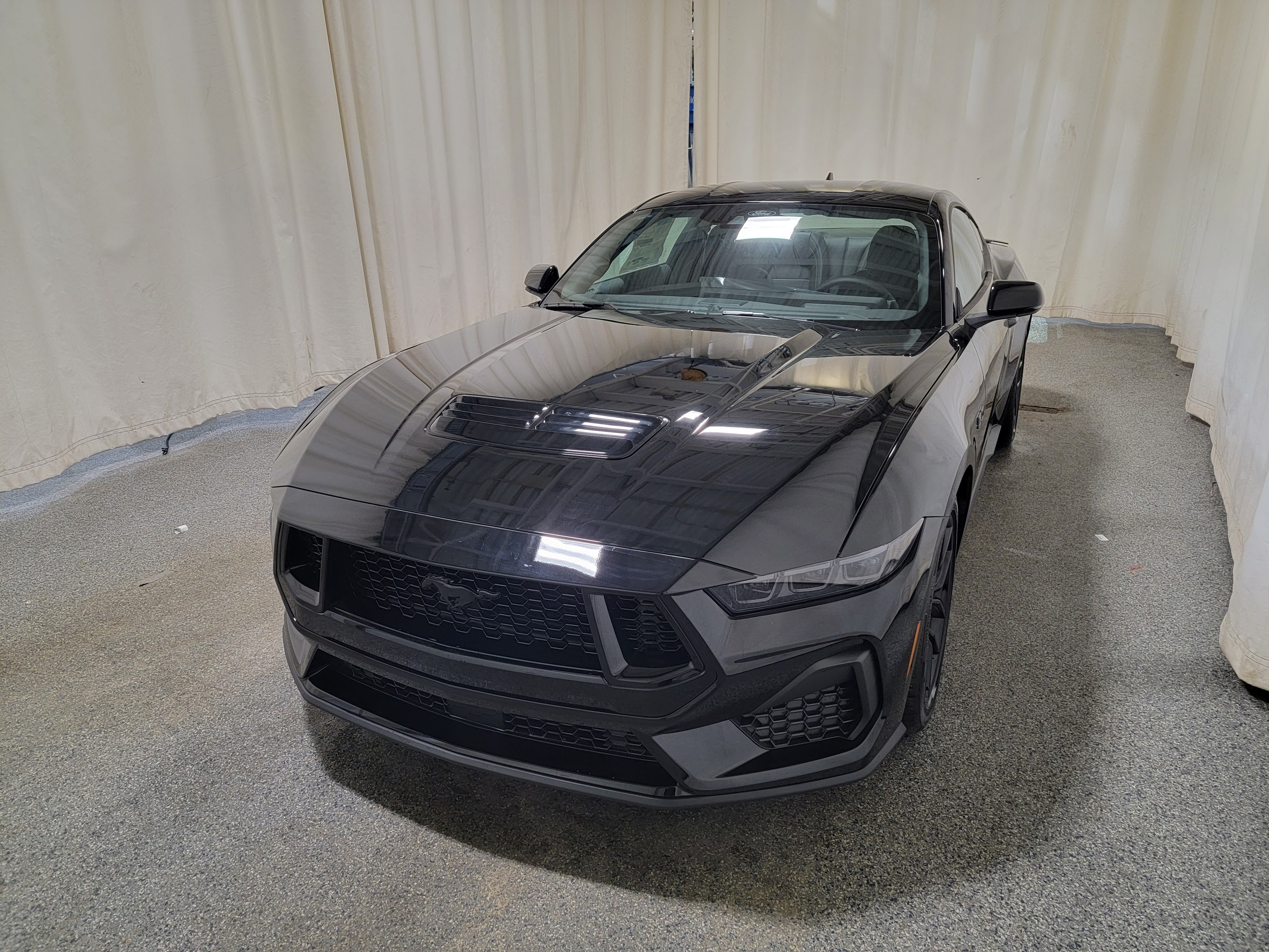 2024 Ford Mustang GT PREMIUM 401A W/NITE PONY PACKAGE 