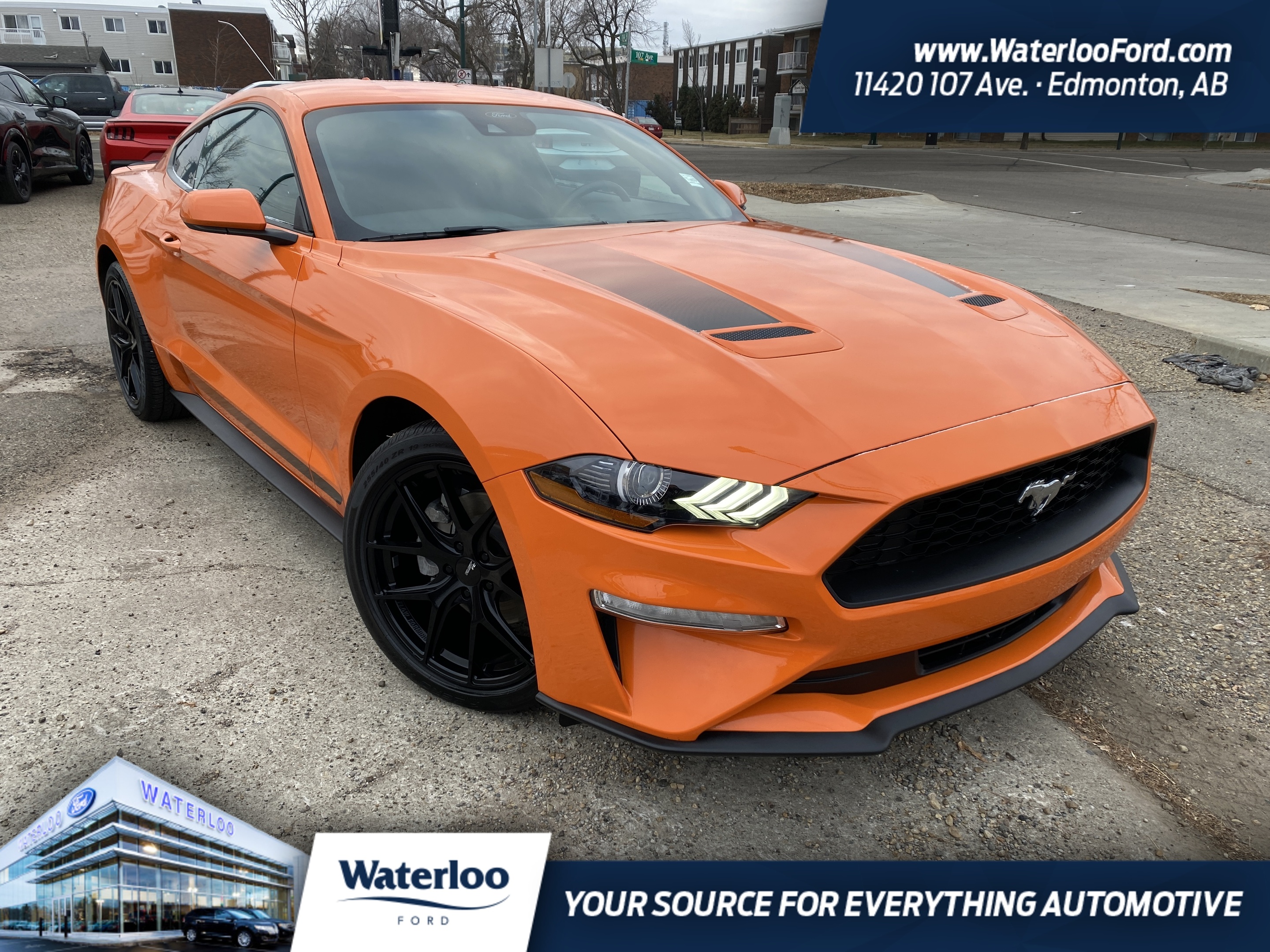 2021 Ford Mustang EcoBoost | Remote Start | Nav | Adaptive Cruise 