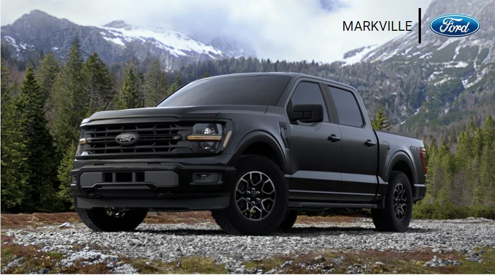 2024 Ford F-150 XLT   - Black Appearance Package - Leather Seats