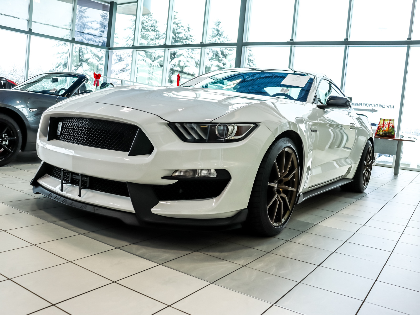 2016 Ford Mustang Shelby GT 350 | TRACK PACKAGE