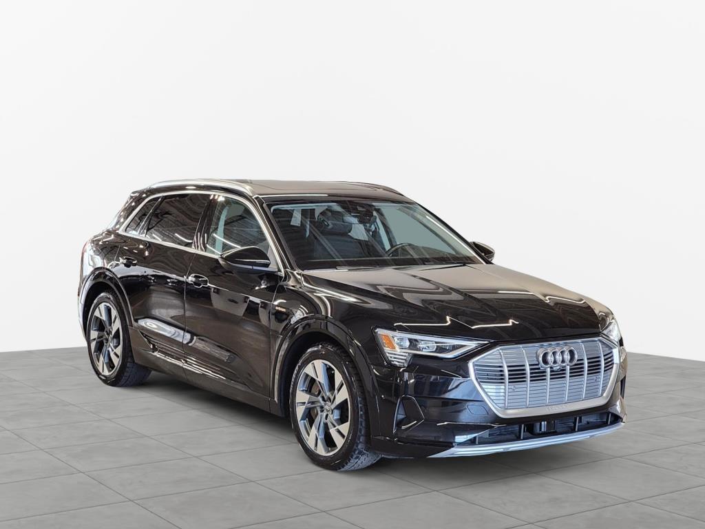 2019 Audi e-tron Quattro 55 Technik