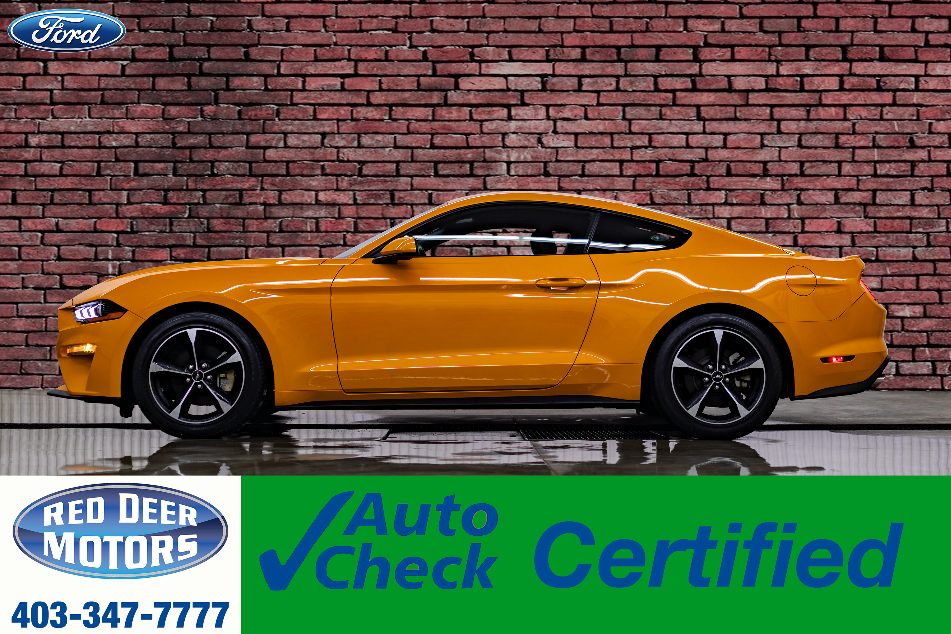 2019 Ford Mustang BCam