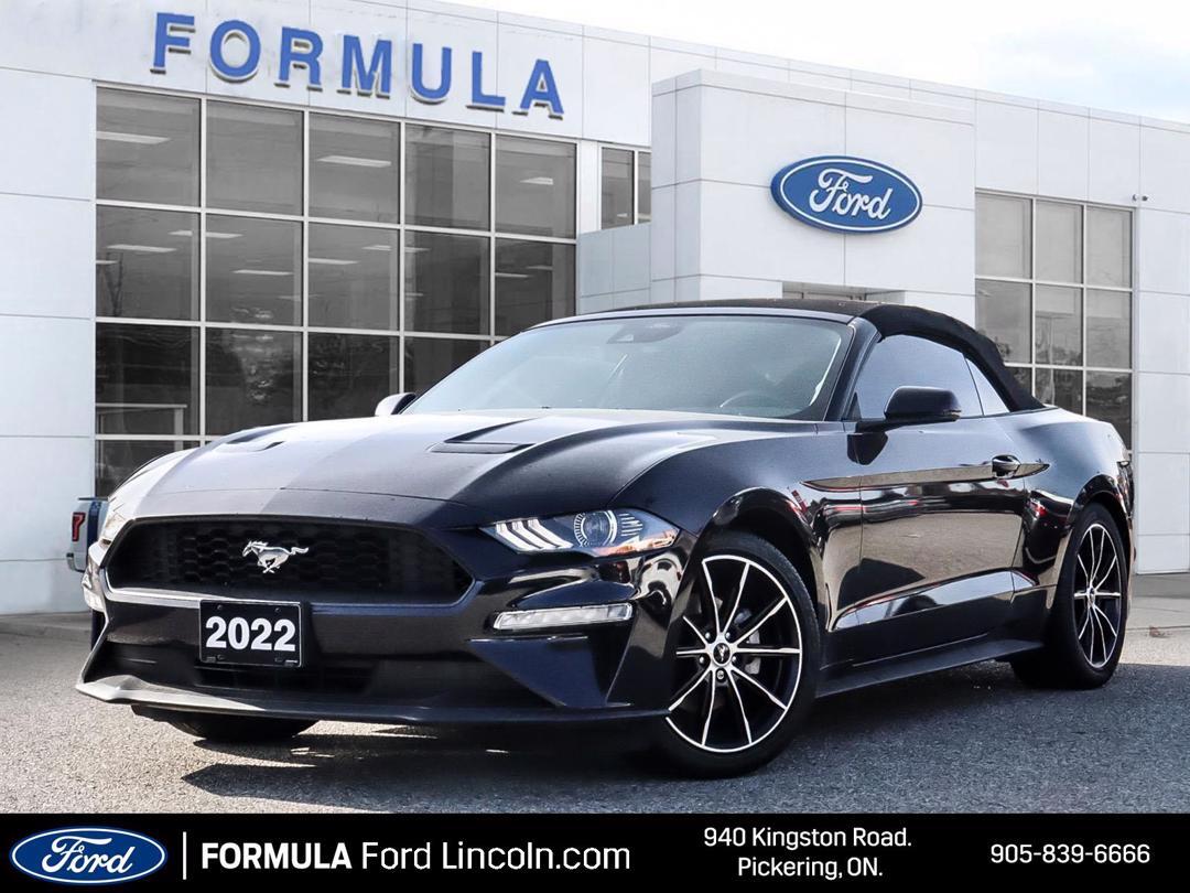 2022 Ford Mustang EcoBoost - <br/> Set of winter tires included!