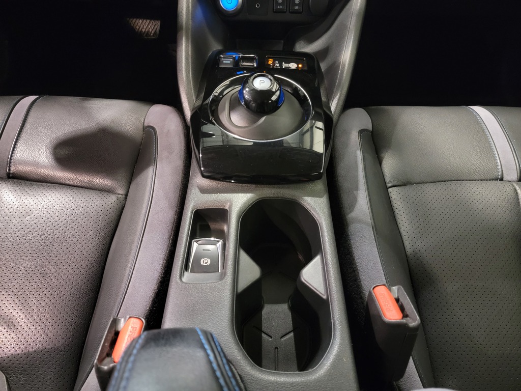 Nissan LEAF 2018 Air conditioner, Navigation system, Electric mirrors, Power Seats, Electric windows, Heated seats, Leather interior, Electric lock, Speed regulator, Bluetooth, , rear-view camera, Heated steering wheel, Steering wheel radio controls