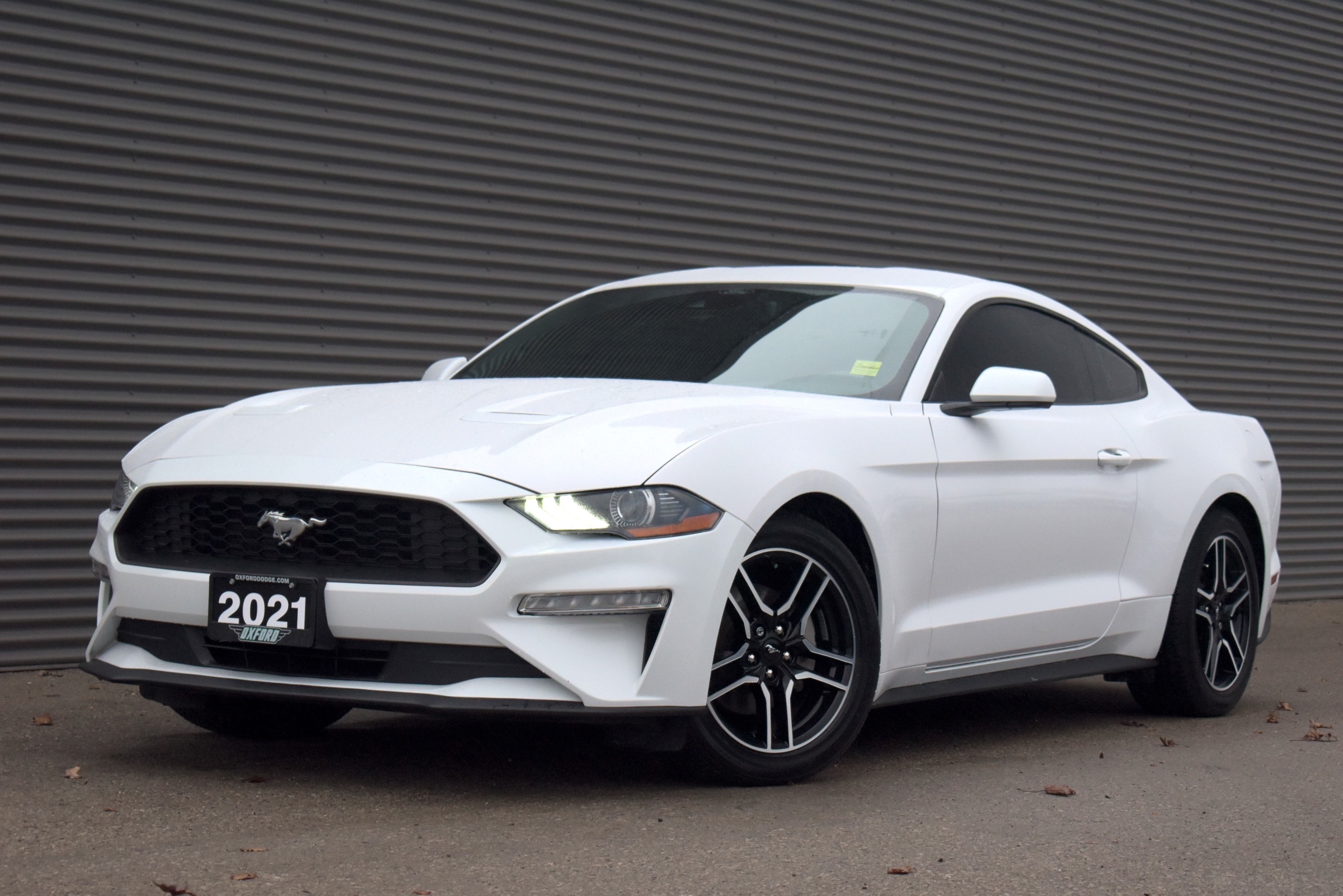 2021 Ford Mustang EcoBoost One Owner, Accident Free, Very Well Cared