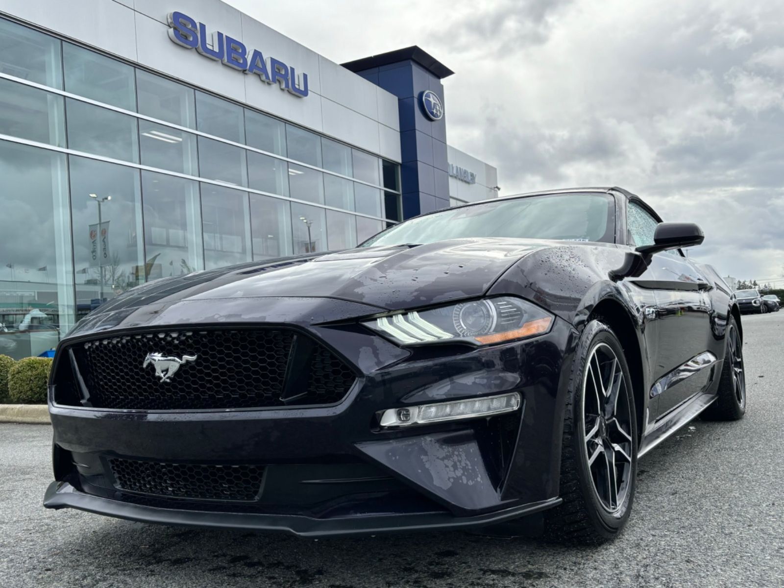 2023 Ford Mustang 2DR | PUSH TO START | RWD | LEATHER SEATS | BLUETO