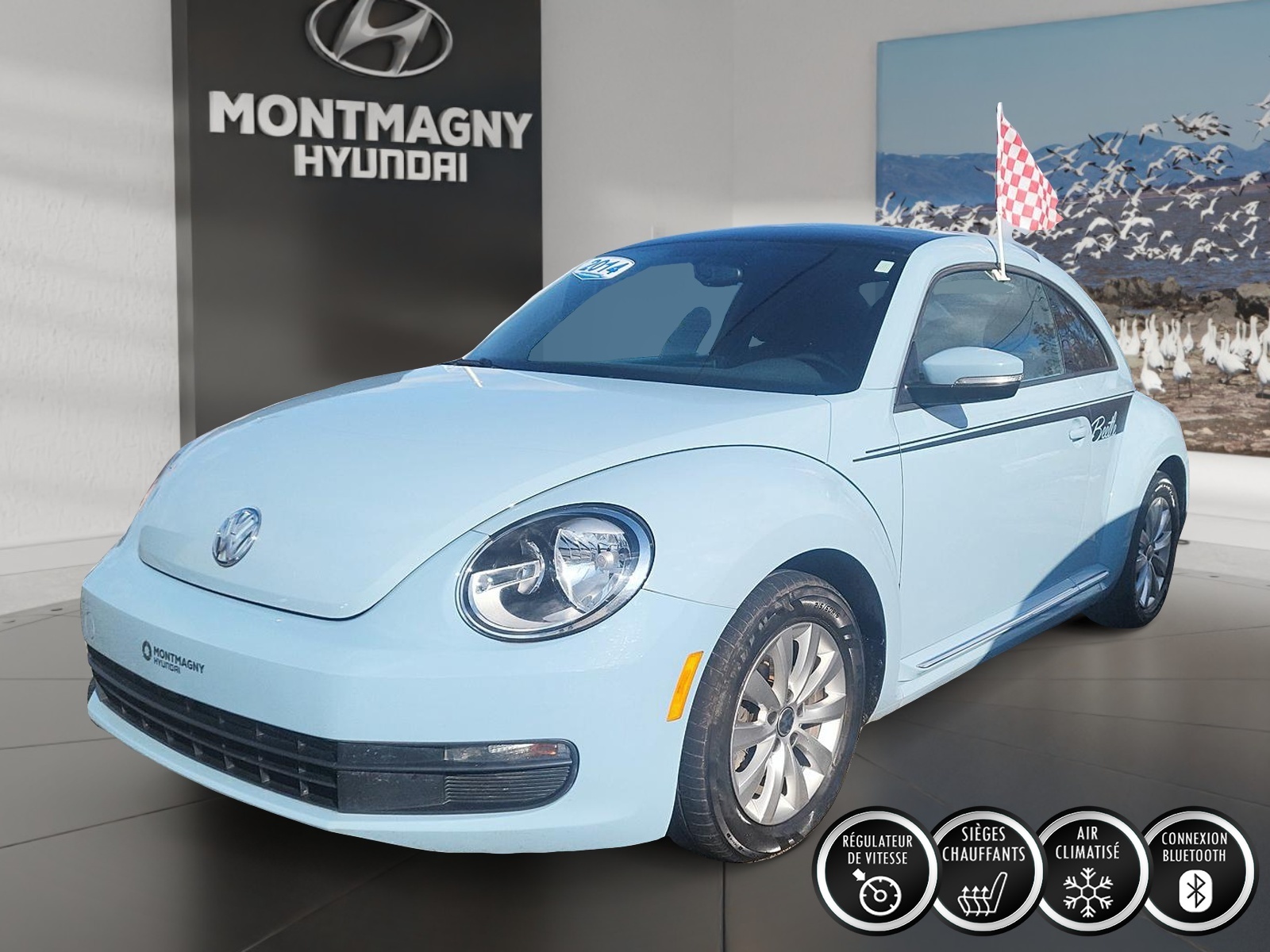 2014 Volkswagen Beetle Coupe BEETLE