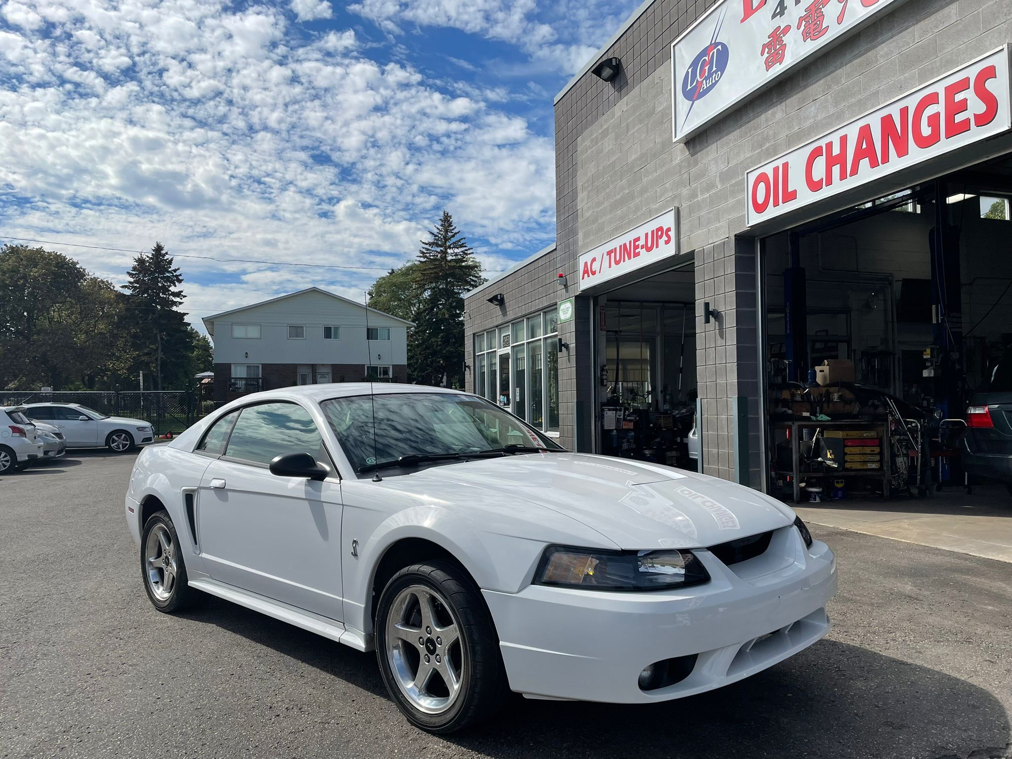 2001 Ford Mustang 2dr Cpe SVT Cobra Only37000kms 