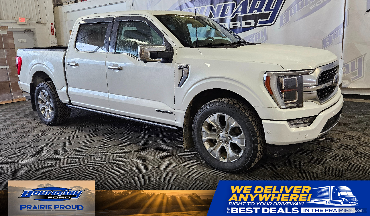 2021 Ford F-150 Platinum 3.5L | Twin Roof | Power Boards