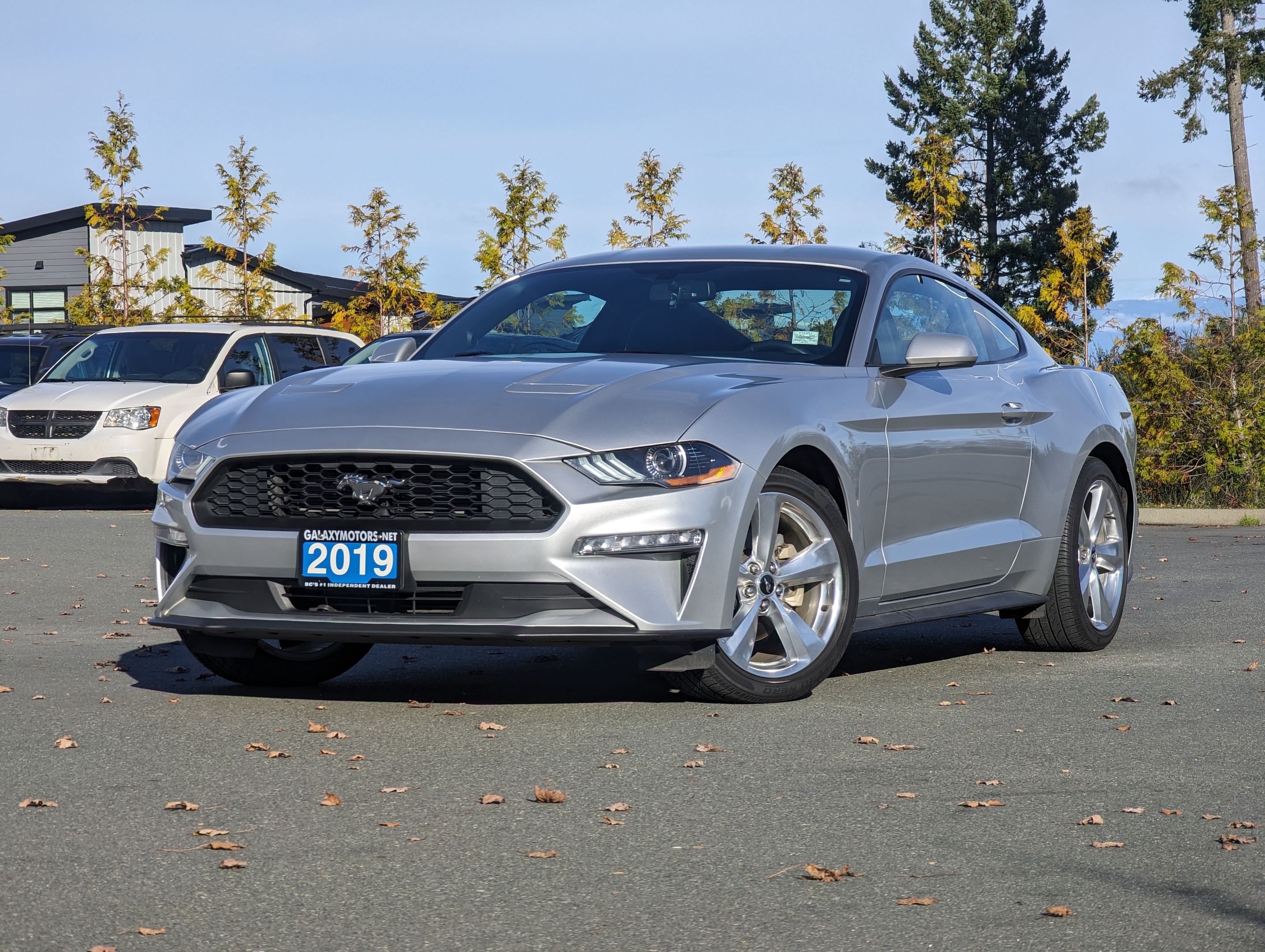 2019 Ford Mustang EcoBoost - No Accidents, Navigation, Automatic
