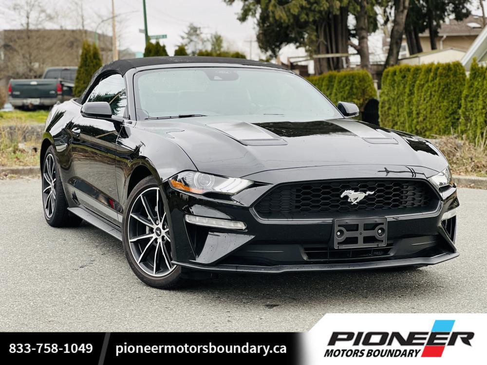 2023 Ford Mustang EcoBoost  - Low Mileage