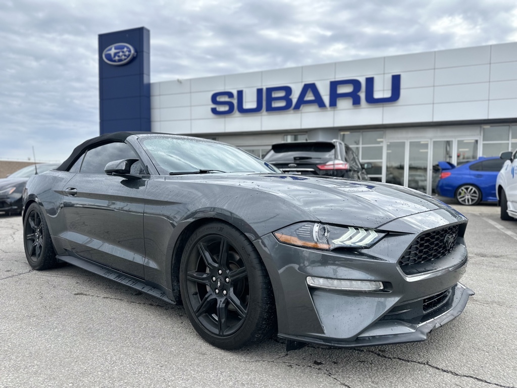 2019 Ford Mustang EcoBoost Convertible, 2.3L Automatic