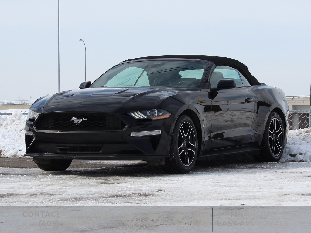 2023 Ford Mustang EcoBoost Premium | CONVERTIBLE | 