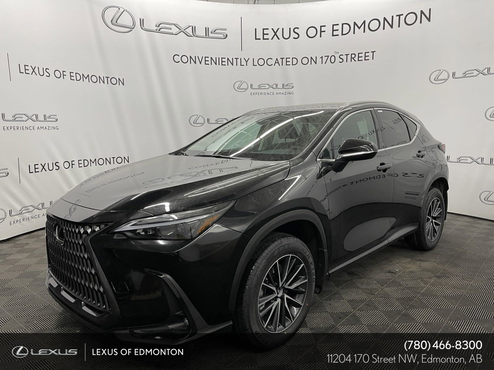 2024 Lexus NX NX 250 AWD SIGNATURE