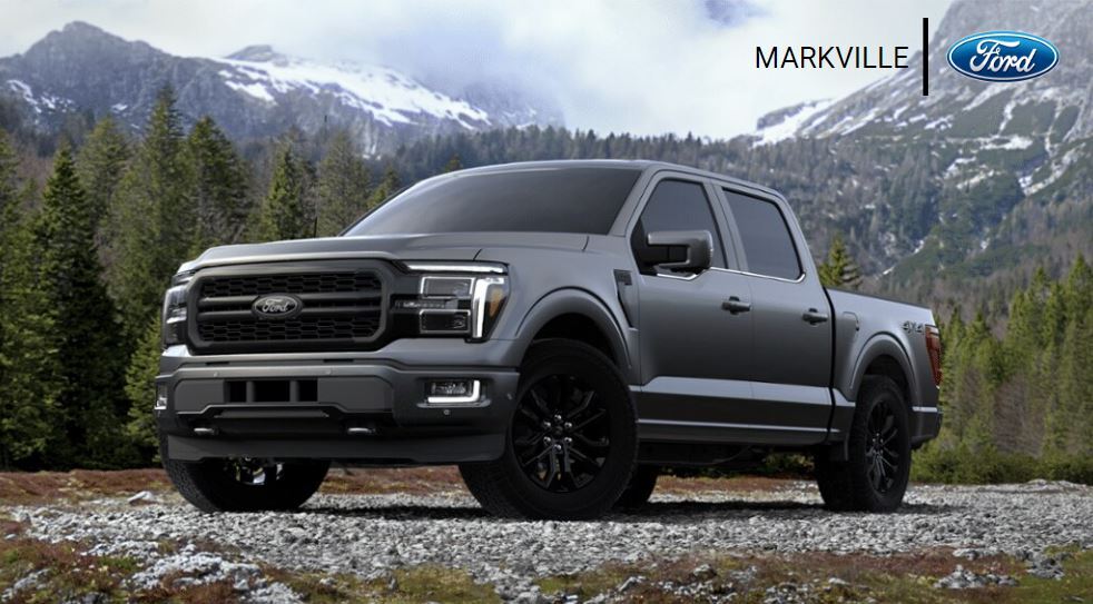 2024 Ford F-150 Lariat   - Black Appearance Package - Twin Panel M