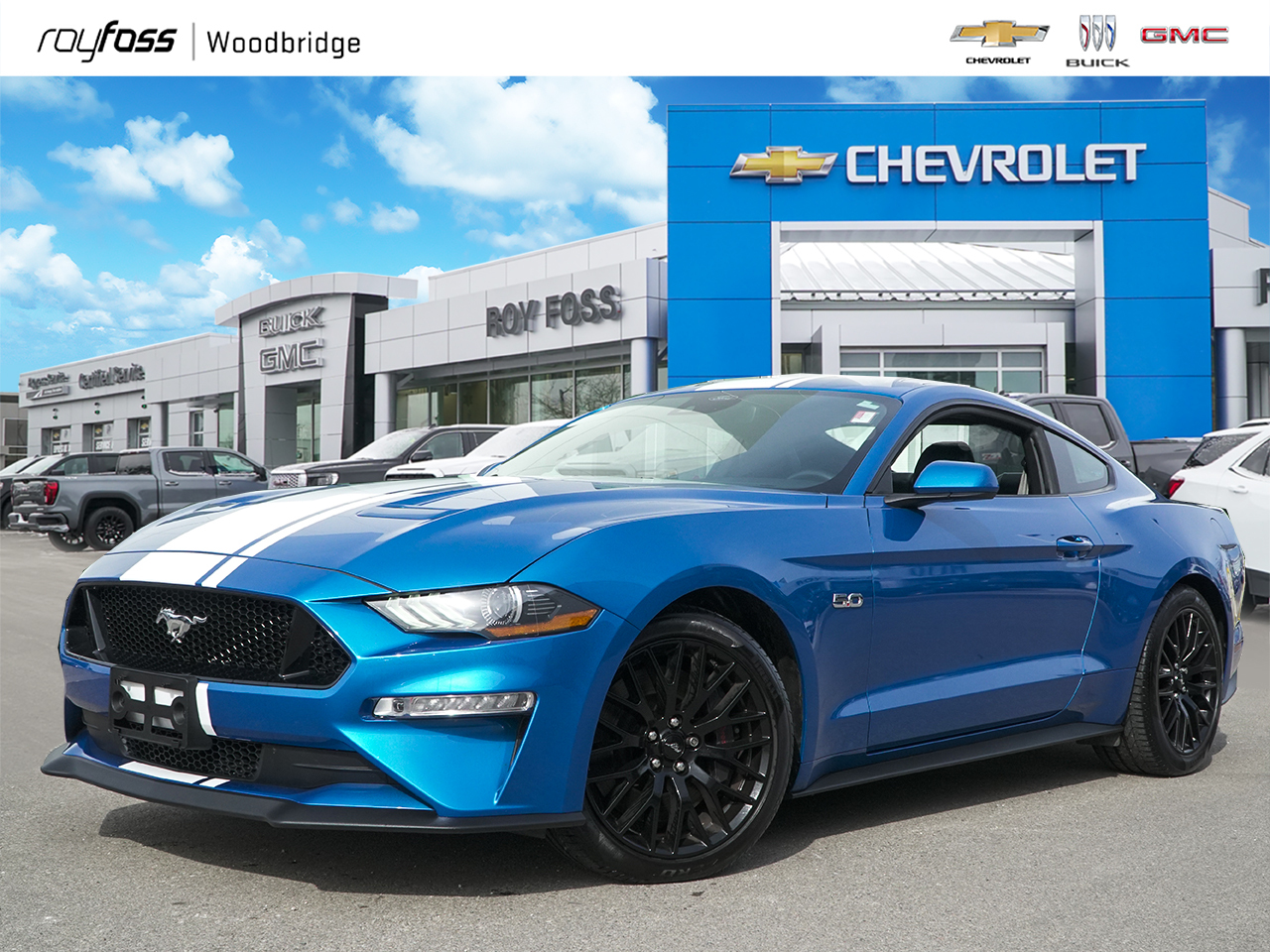 2021 Ford Mustang GT, Manual, Leather, Navi, B/0, Clean Carfax!