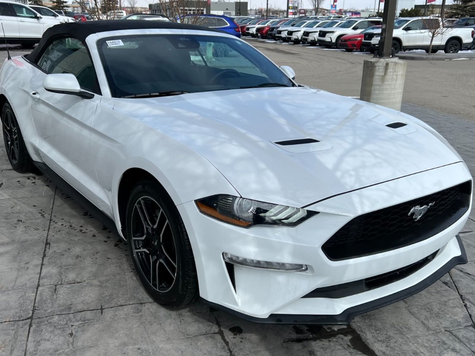 2023 Ford Mustang EcoBoost Convertible - Low kms, Bluetooth