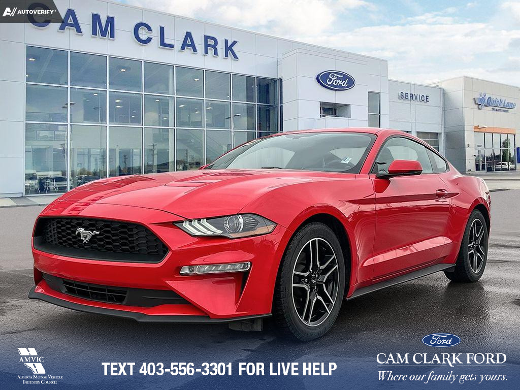 2019 Ford Mustang EcoBoost Premium RACE RED * AUTOMATIC * LEATHER * 