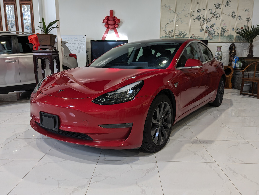 2019 Tesla Model 3 AWD Dual Motor Ray 6043191888