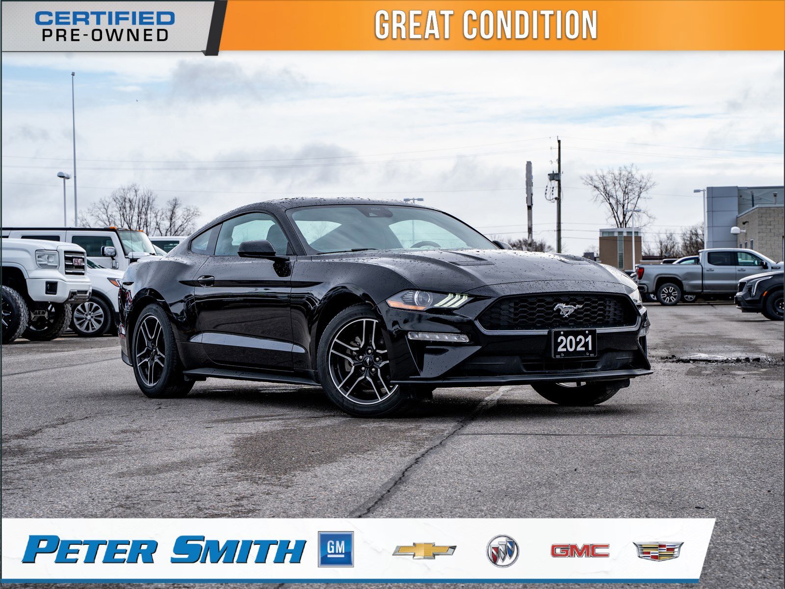 2021 Ford Mustang EcoBoost - 2.3L Ecoboost 310HP | Rear Vision Camer