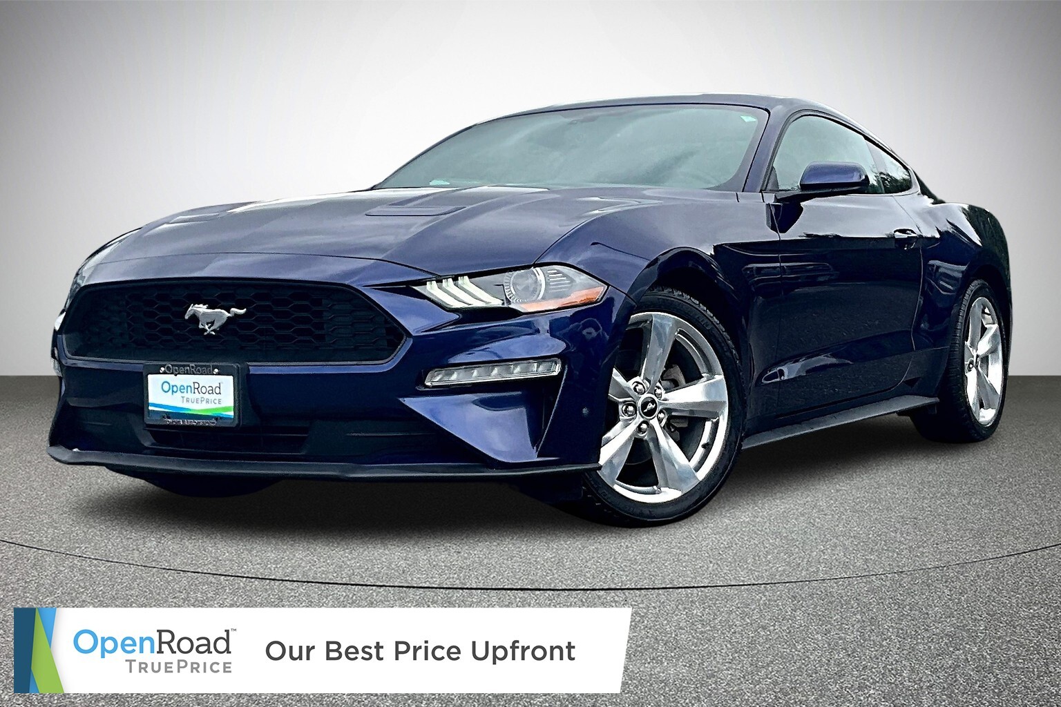 2019 Ford Mustang EcoBoost Finance for only $219.92 bi-weekly!