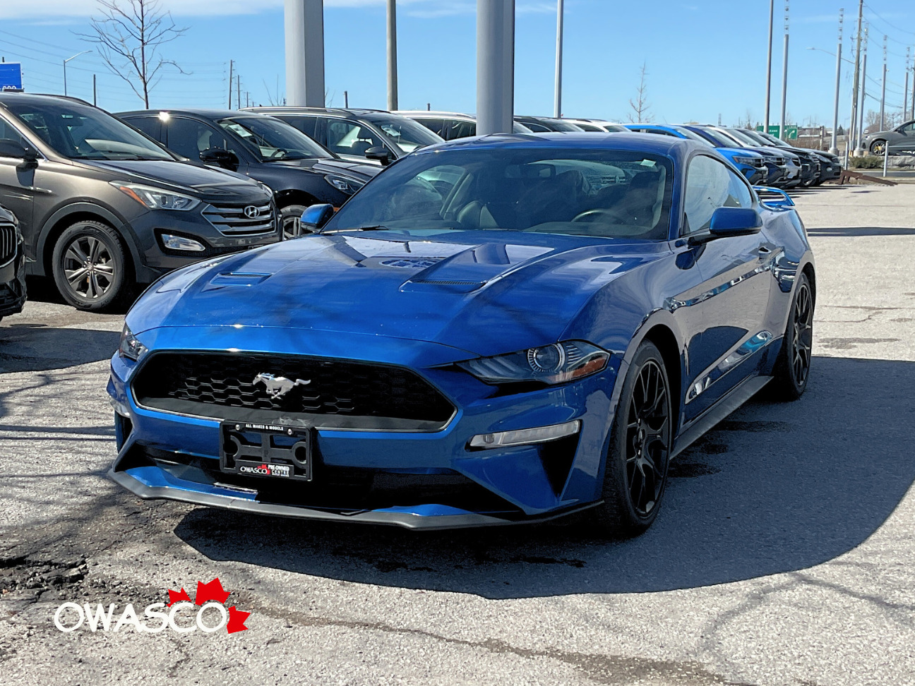 2018 Ford Mustang 2.3L EcoBoost! Premium! Clean CarFax!