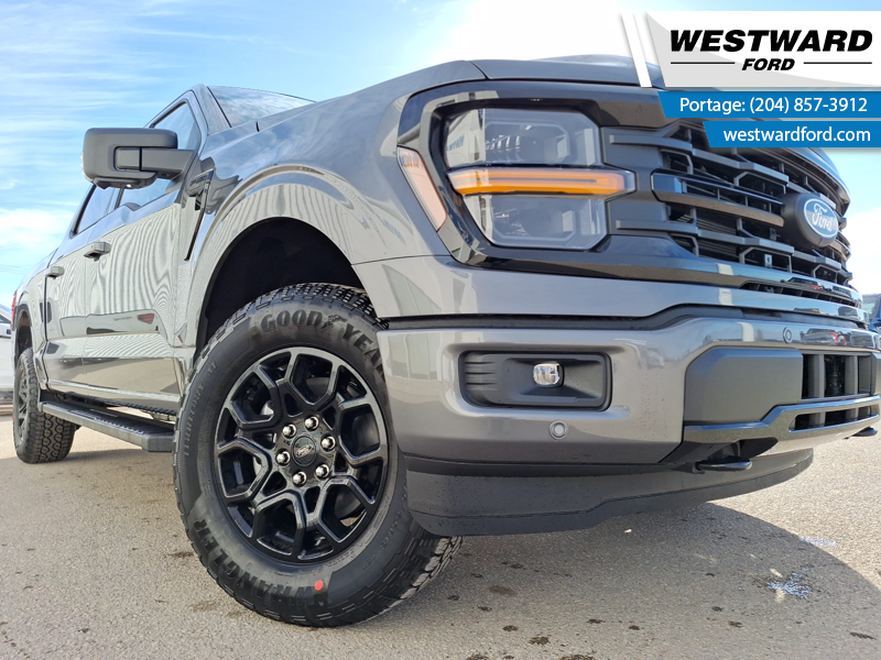 2024 Ford F-150 XLT   Black Appearance Package