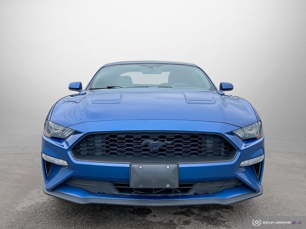 2018 Ford Mustang | Blue Tooth | Local Trade | Reay For Summer |