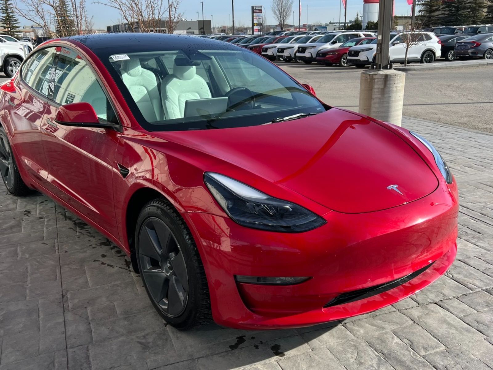 2022 Tesla Model 3 Model 3: No accidents, Local Vehicle!! 