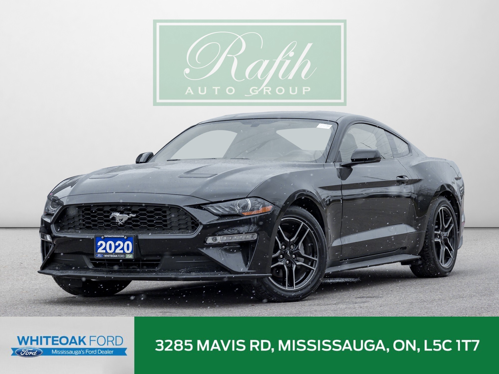 2020 Ford Mustang Ecoboost Premium|Low KM|Clean CarFax|Leather|Heate