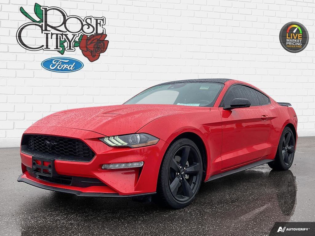 2022 Ford Mustang | 2.3L Ecoboost | 310HP | Black Accent Pkg | Rever