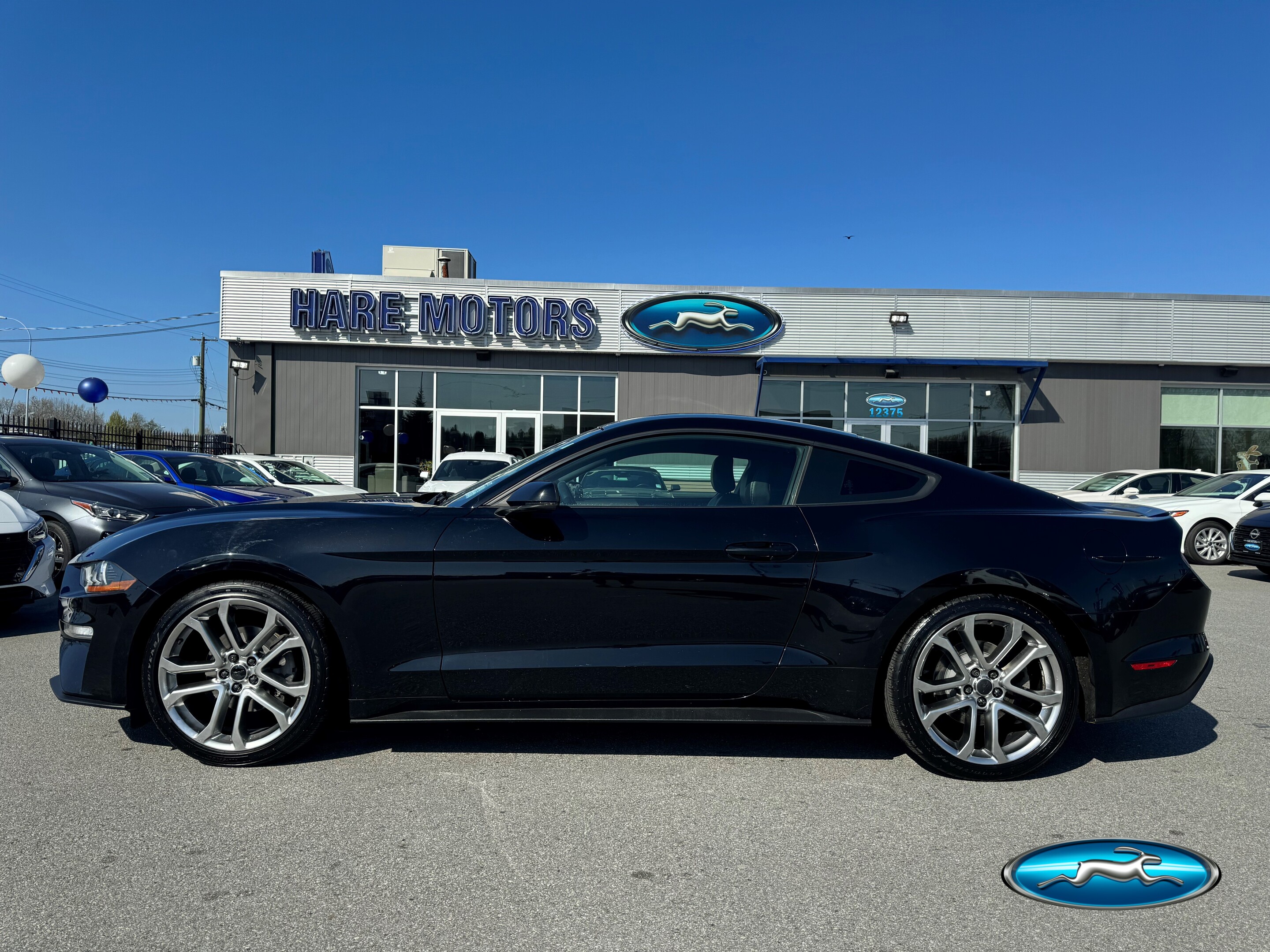 2019 Ford Mustang EcoBoost Premium Fastback w / Navigation & Leather