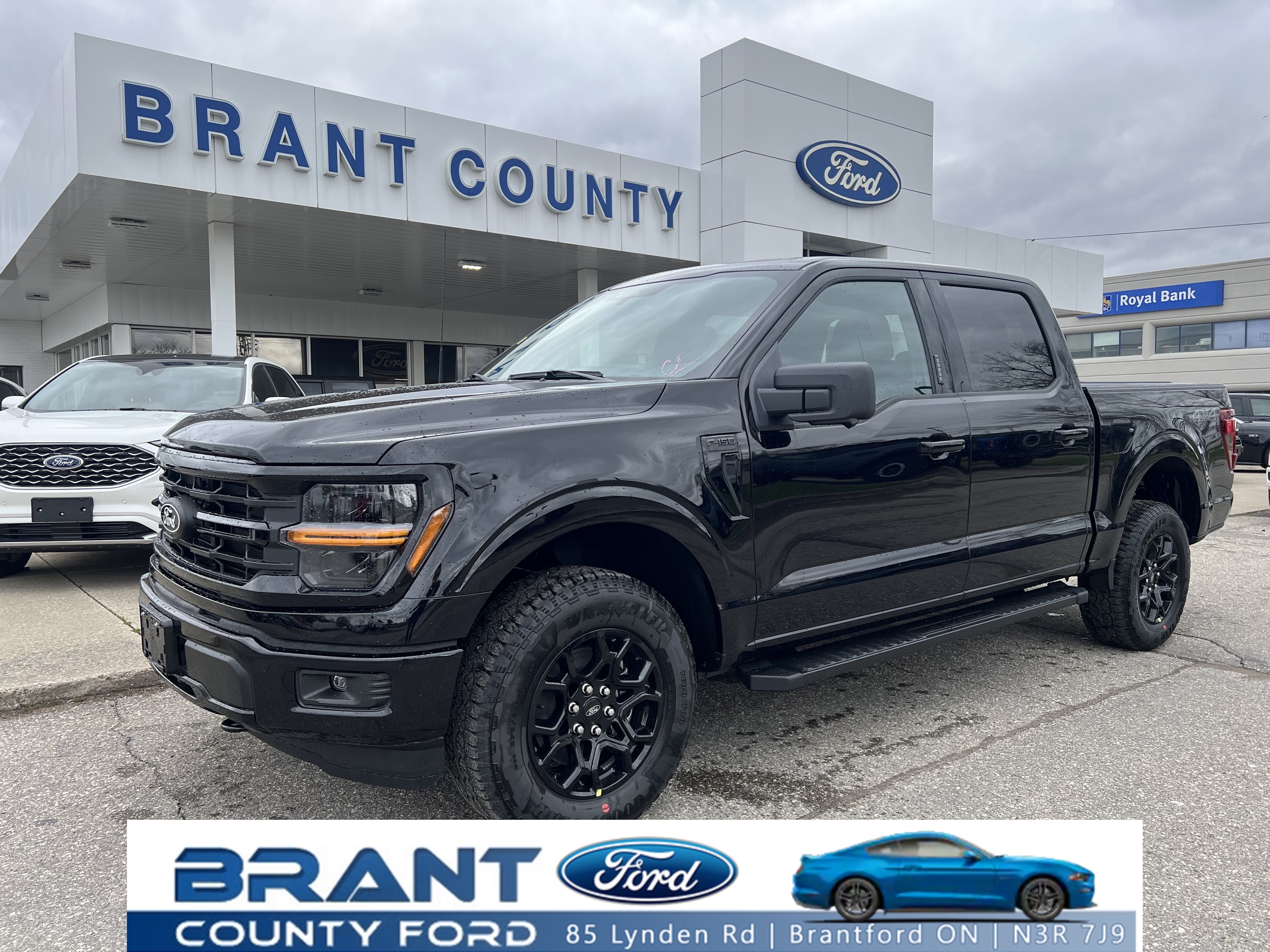 2024 Ford F-150 XLT 4WD SuperCrew 5.5' Box Black appearance pack