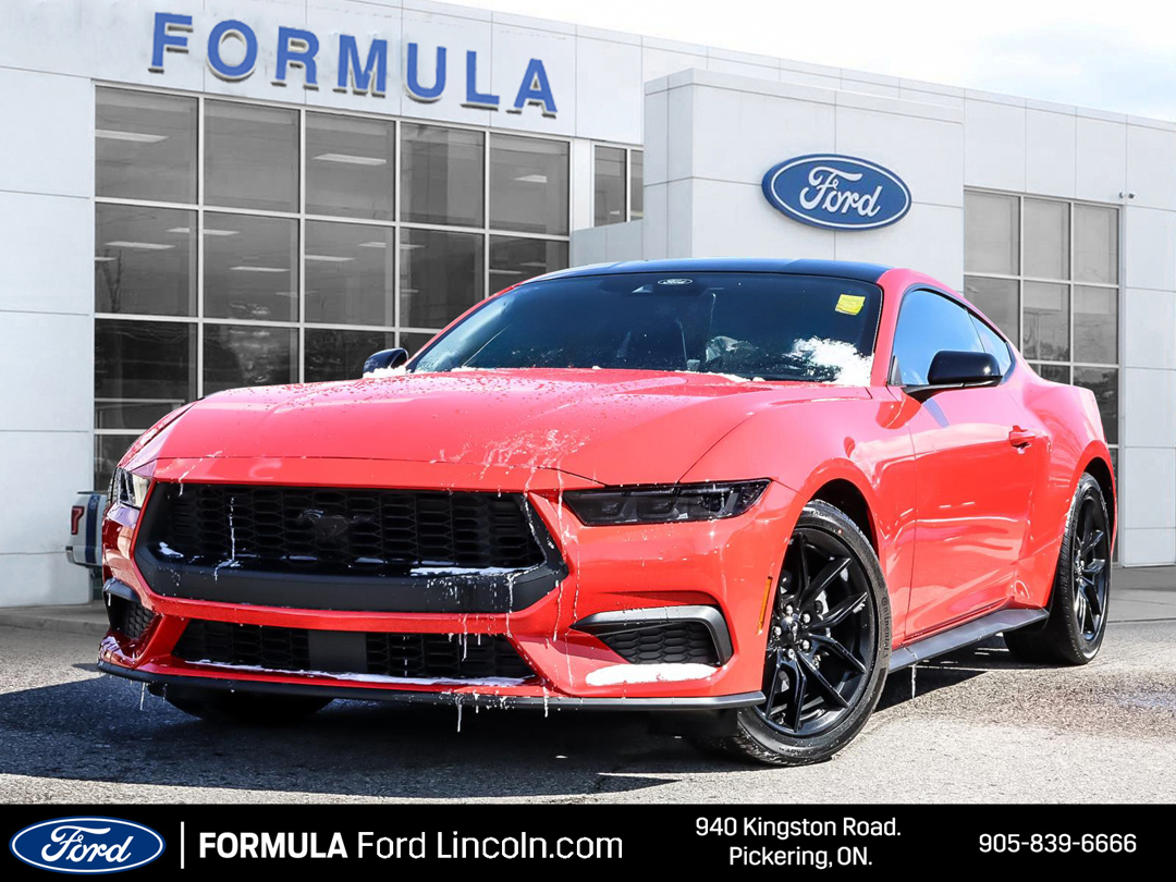 2024 Ford Mustang EcoBoost -    101A   315 HP   10 SPD AUTO   AMBIEN
