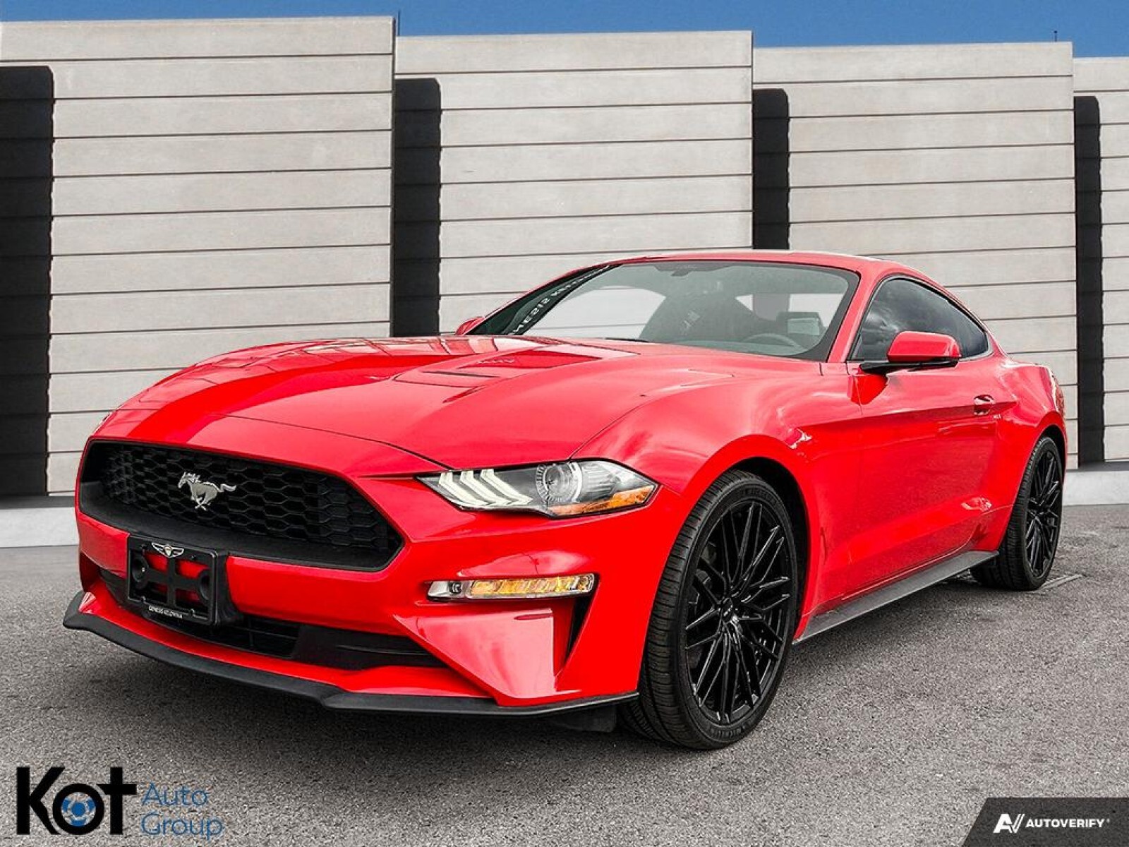 2019 Ford Mustang FASTBACK ECOBOOST TURBO 310 HP! LEATHER NAV