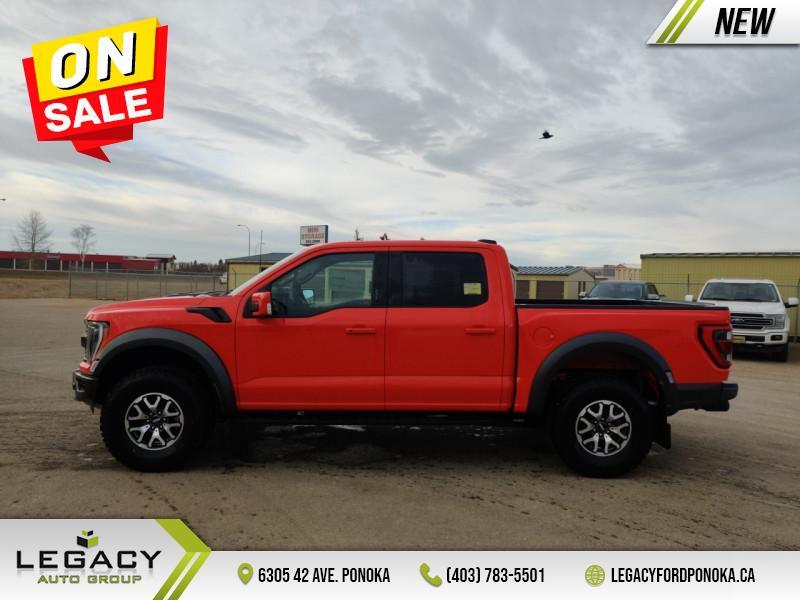 2023 Ford F-150 Raptor  - Leather Seats - Sunroof