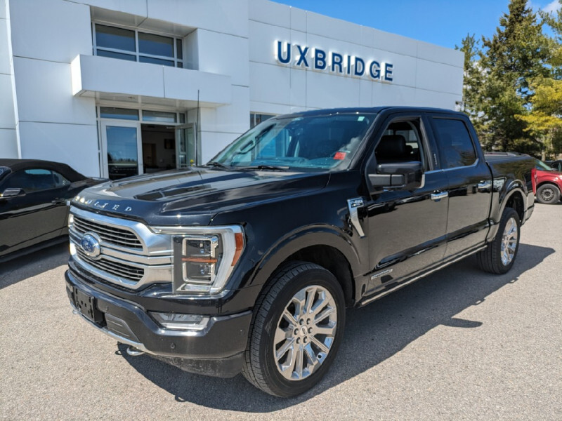 2021 Ford F-150 Limited  - Leather Seats -  Cooled Seats