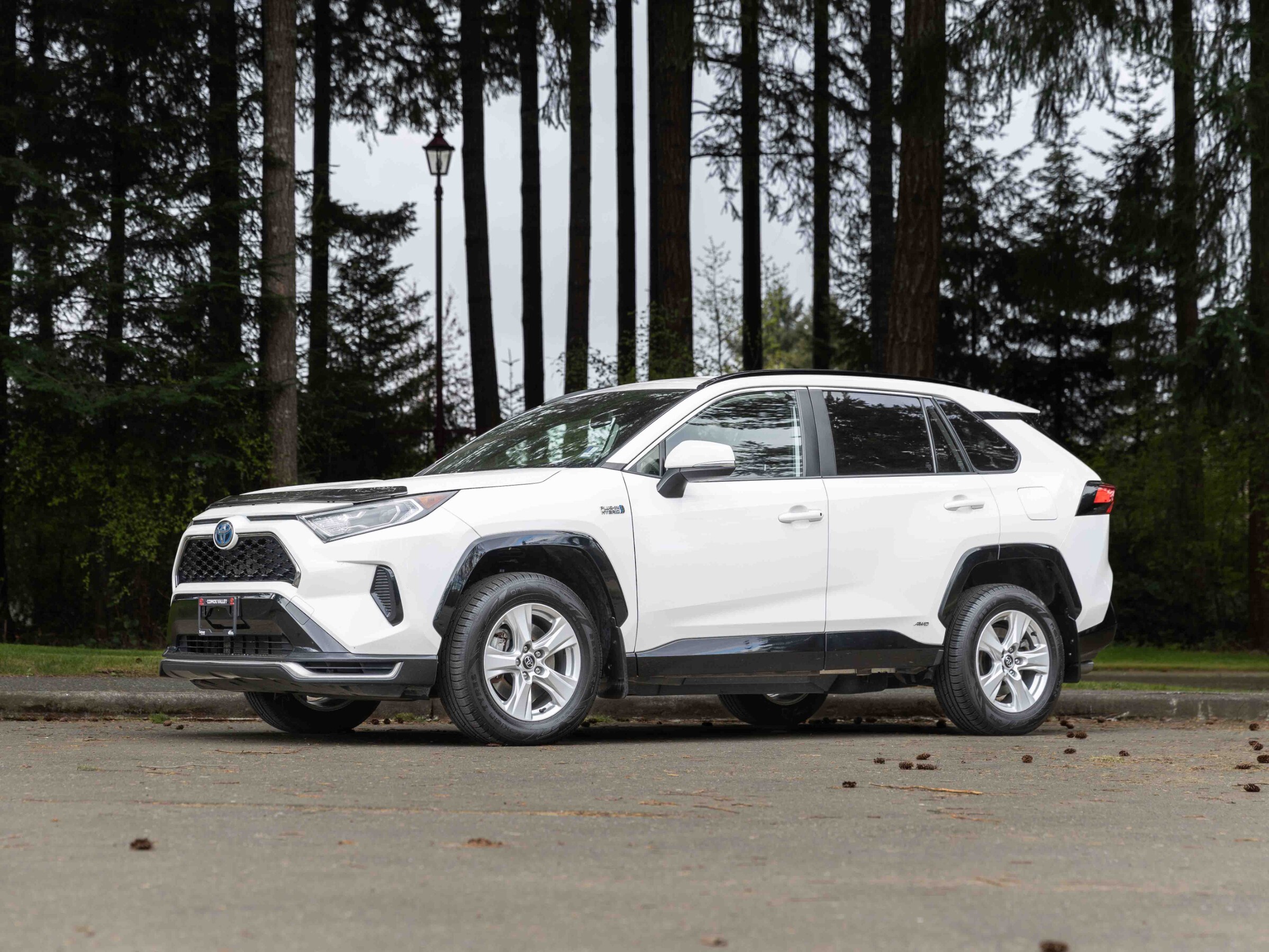 2021 Toyota RAV4 Prime SE